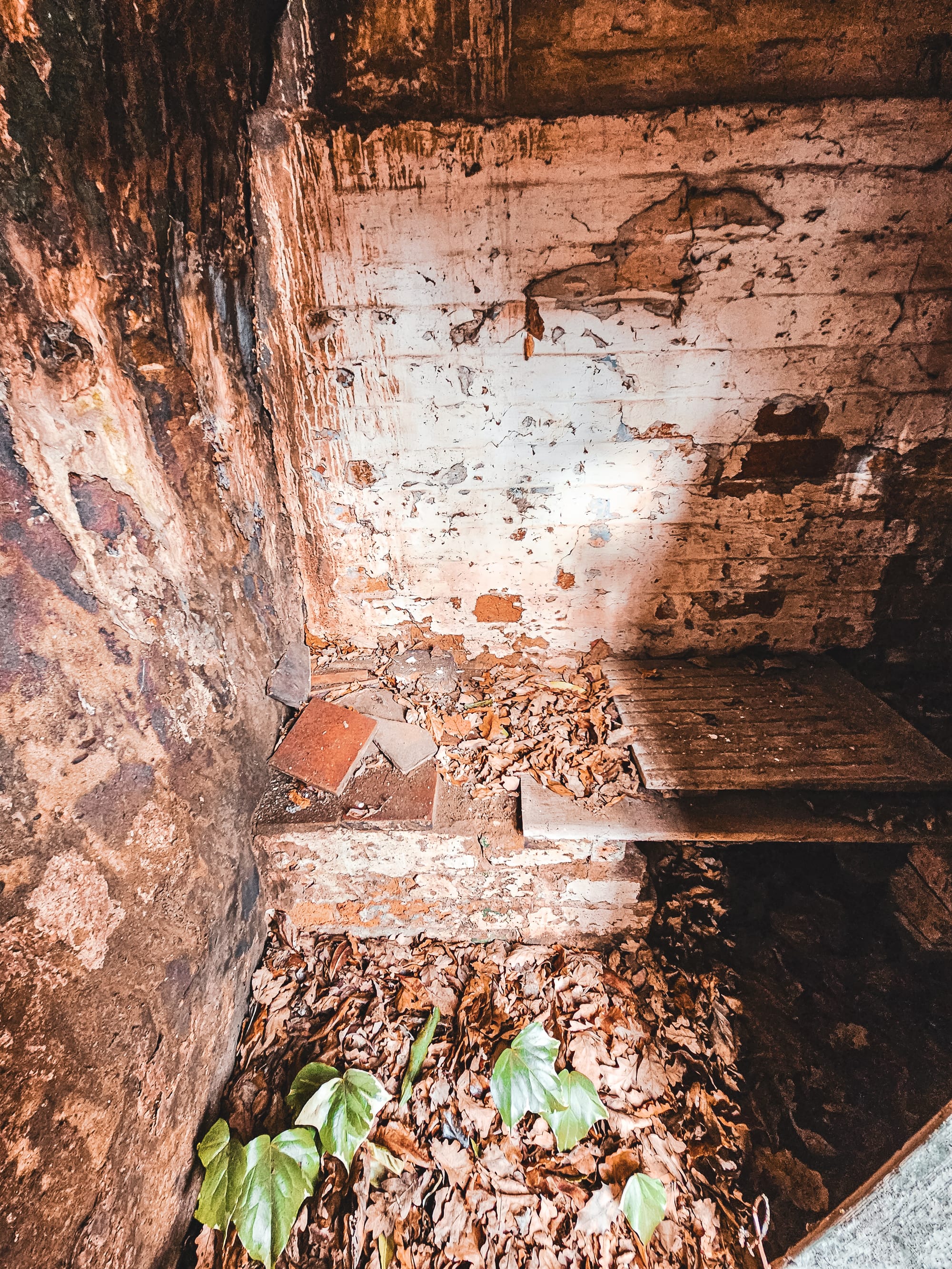 The History of Beech Caves, Staffordshire: A Story of War, Work, and Wild Nights