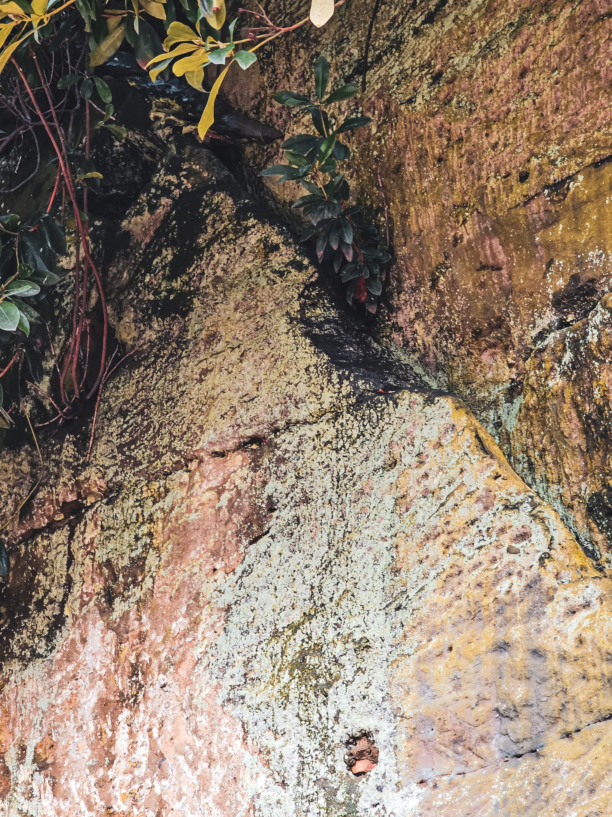 The History of Beech Caves, Staffordshire: A Story of War, Work, and Wild Nights