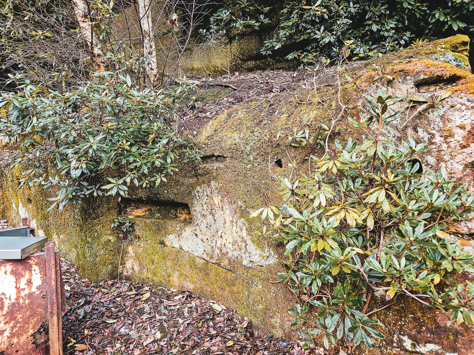 The History of Beech Caves, Staffordshire: A Story of War, Work, and Wild Nights