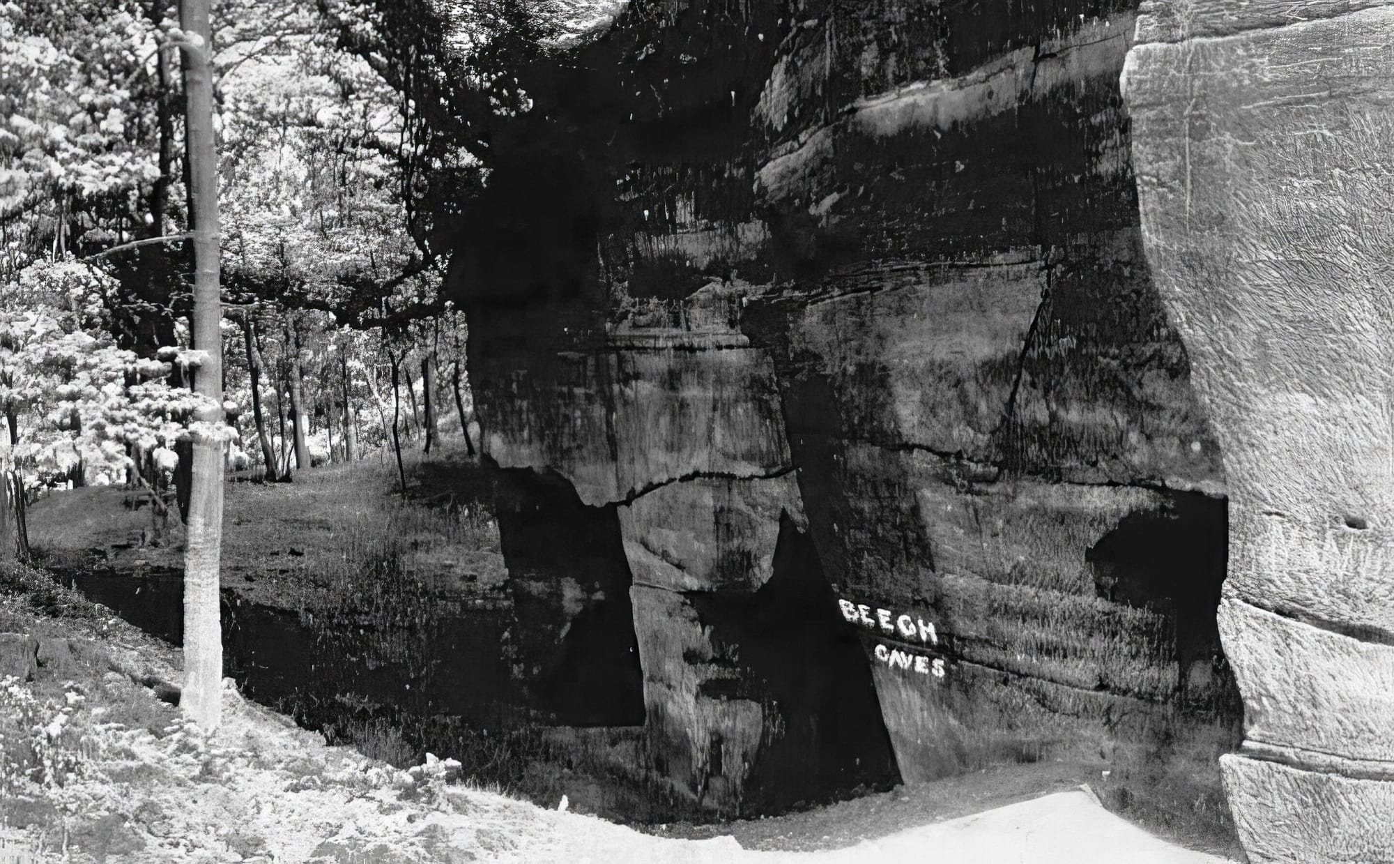 The History of Beech Caves, Staffordshire: A Story of War, Work, and Wild Nights