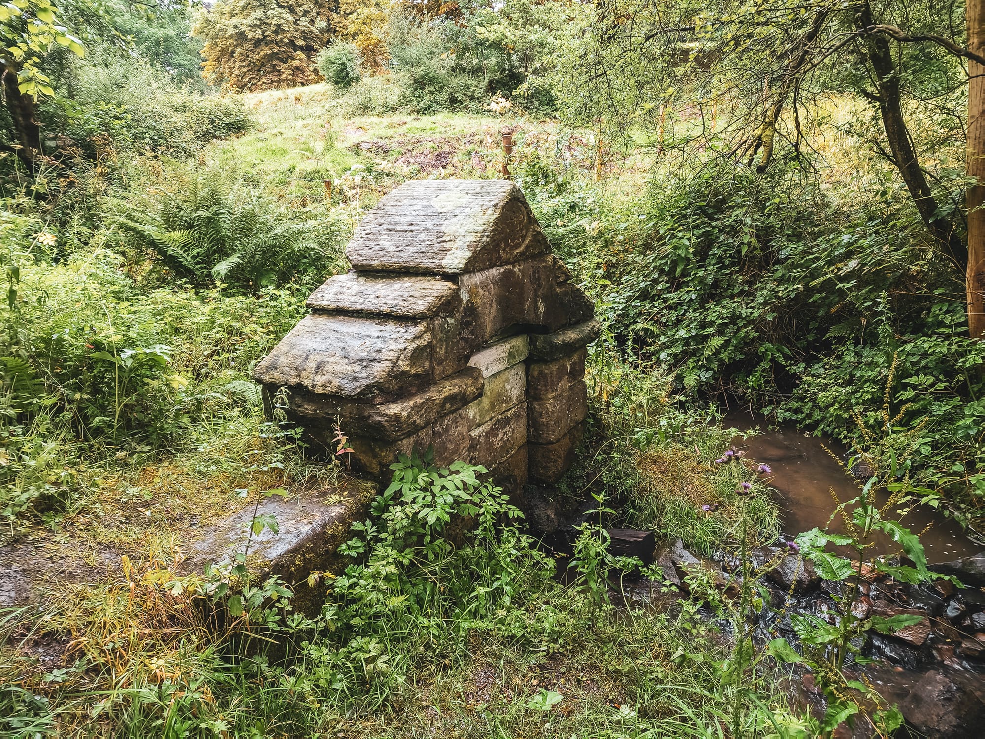 Ladydale Well, Leek: From Ancient Pilgrimages to Modern Preservation