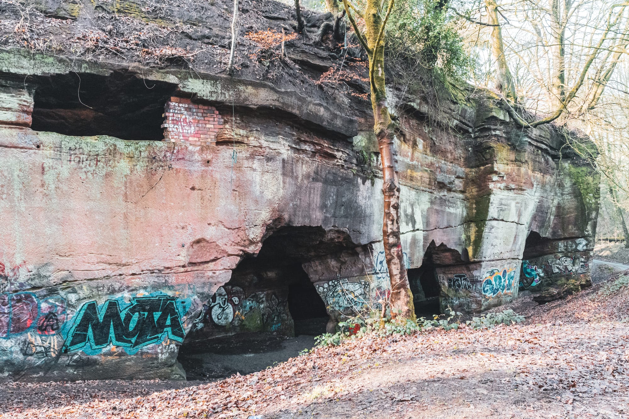 The History of Beech Caves, Staffordshire: A Story of War, Work, and Wild Nights