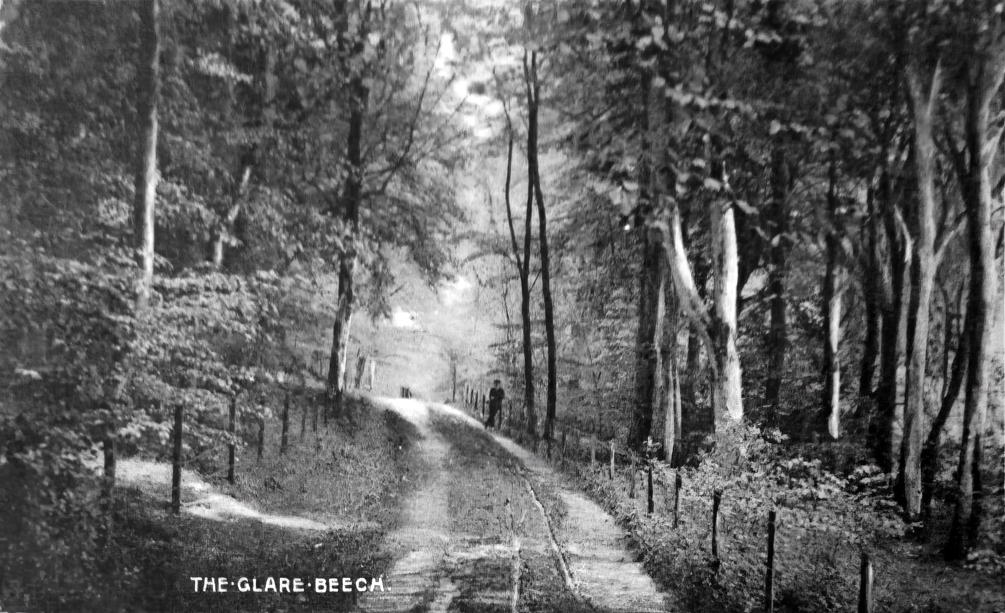 The History of Beech Caves, Staffordshire: A Story of War, Work, and Wild Nights