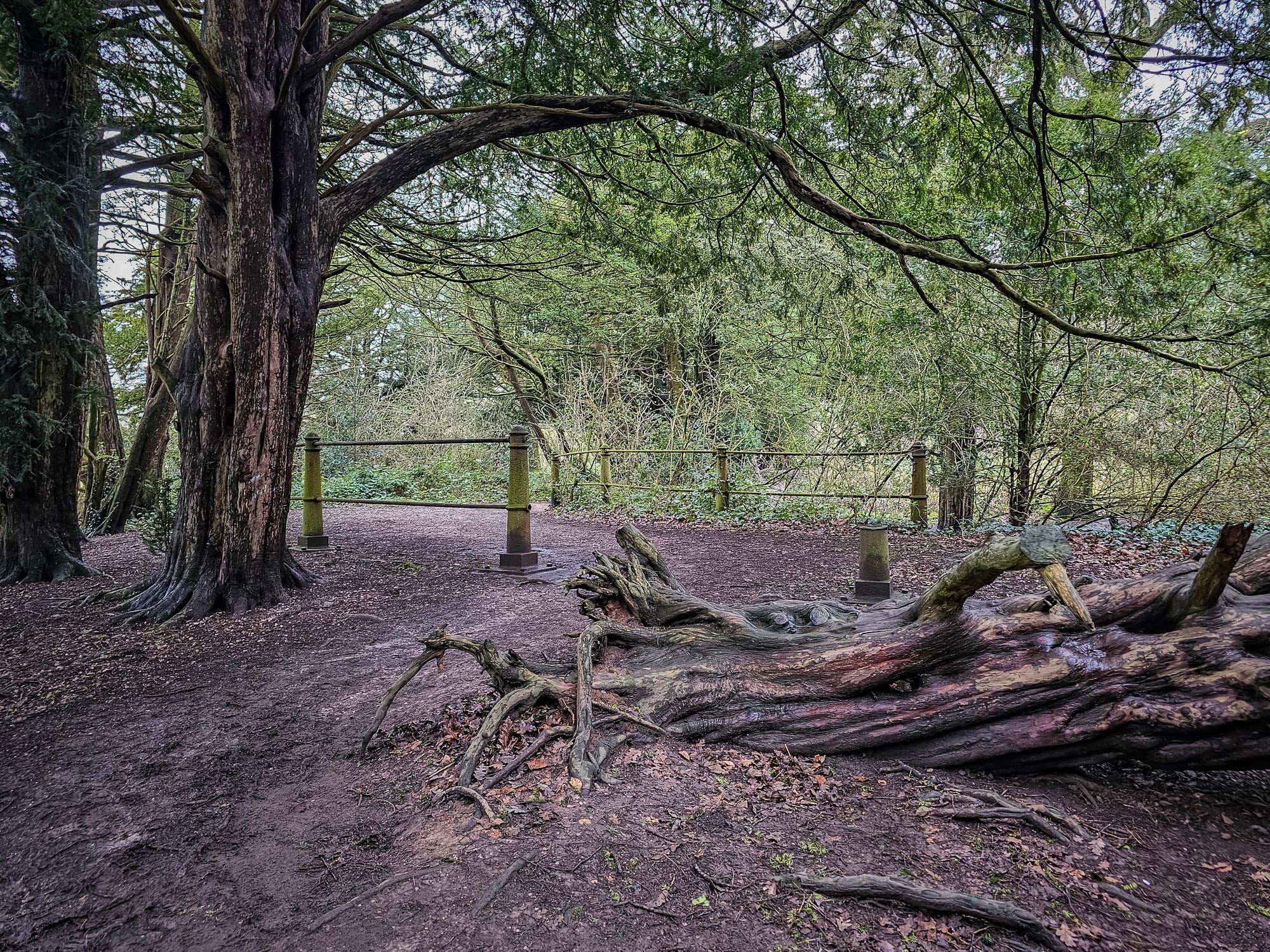 From Royalty to Tolkien: The Story of Essex Bridge in Staffordshire