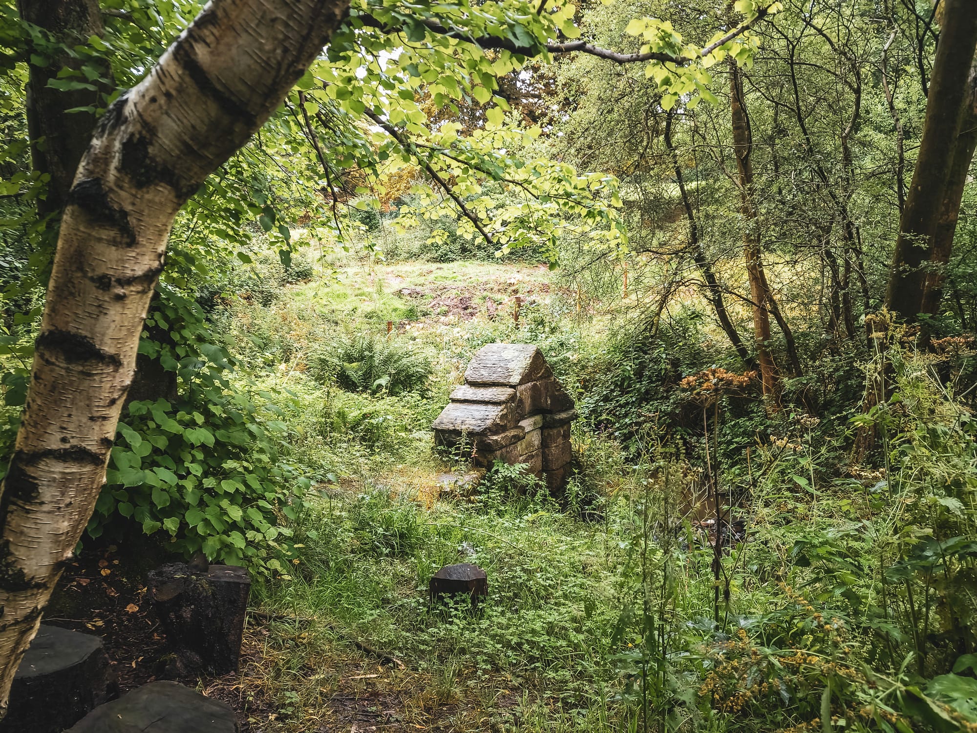 Ladydale Well, Leek: From Ancient Pilgrimages to Modern Preservation