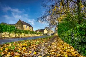 Lockdown - How One British Village, Eyam, Over 350 Years Ago, Perfected the Art of Quarantining and Social Distancing.