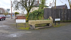 The Ivy House Trough, Hanley: A Monument to Man, Beast, and Community